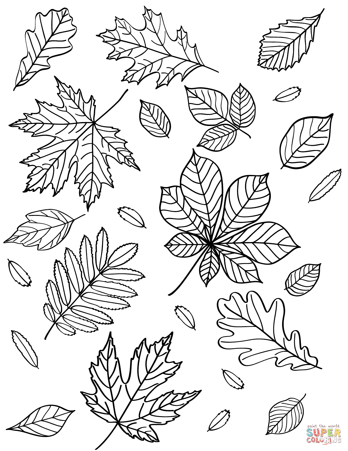 34 Fall Leaves Coloring Pages Printable 27