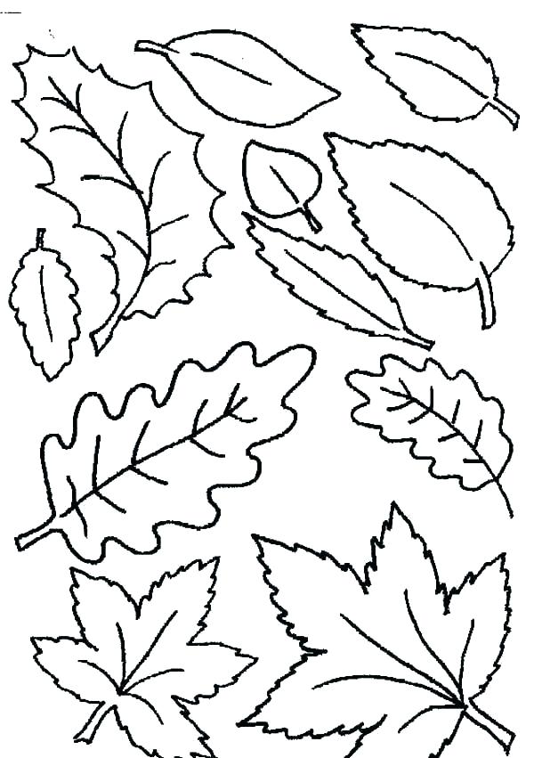 34 Fall Leaves Coloring Pages Printable 31