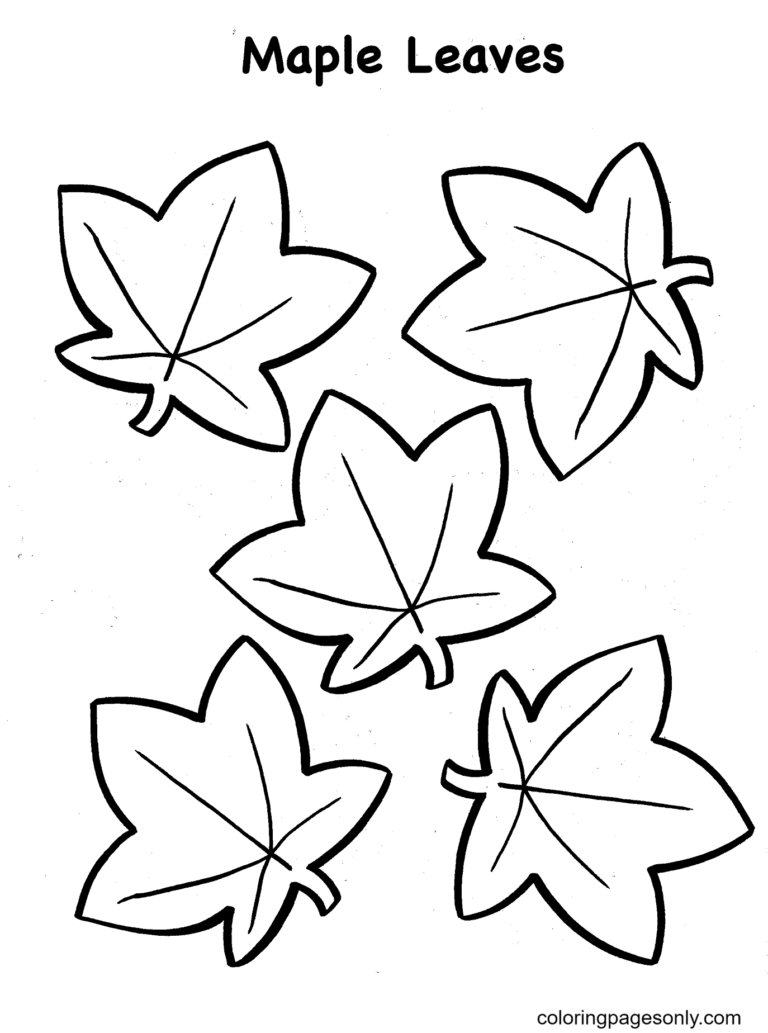 34 Fall Leaves Coloring Pages Printable 33