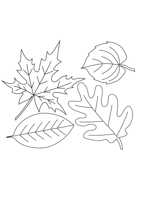 34 Fall Leaves Coloring Pages Printable 4