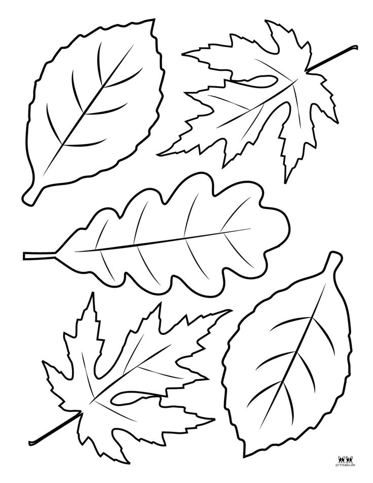 34 Fall Leaves Coloring Pages Printable 5