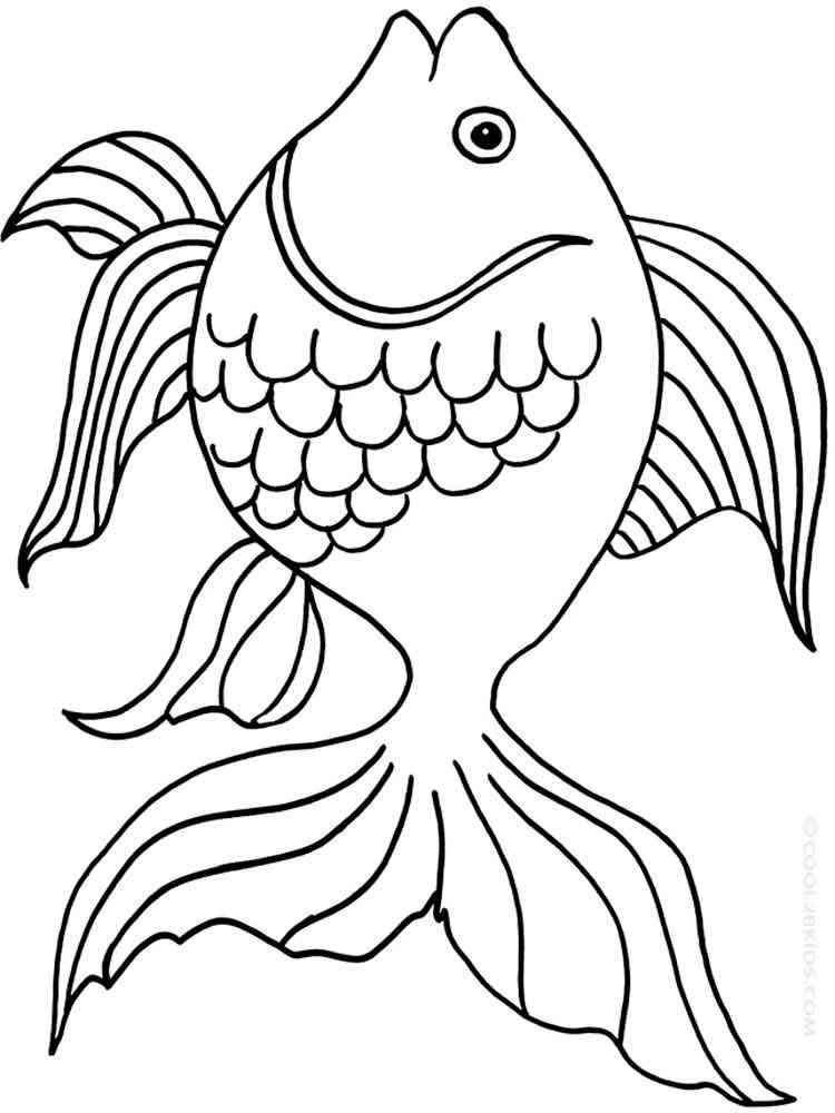 34 Vibrant Goldfishes Coloring Pages Printable 2