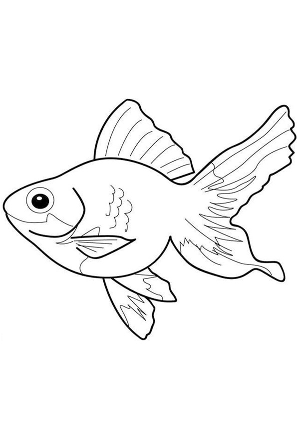 34 Vibrant Goldfishes Coloring Pages Printable 30