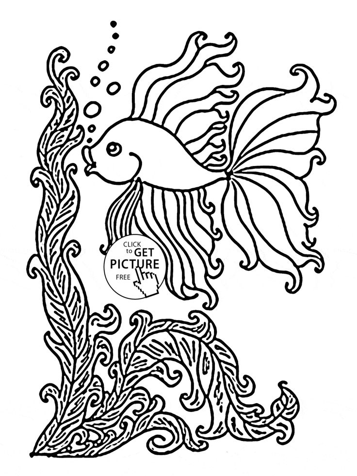 vibrant goldfishes coloring pages printable jpg