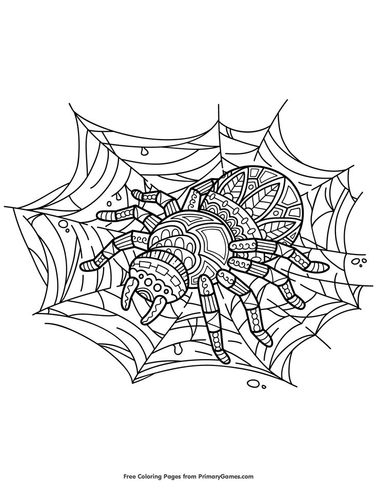 35 Spider Web Coloring Pages Printable 11