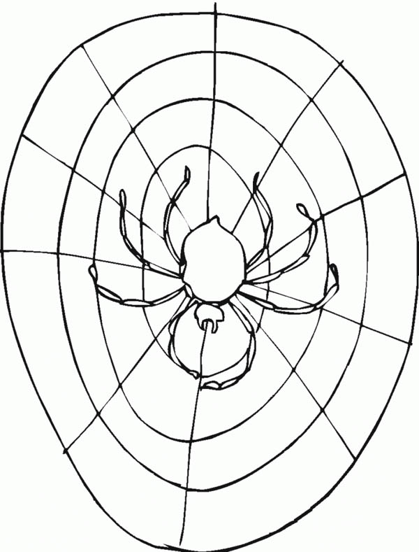 35 Spider Web Coloring Pages Printable 15