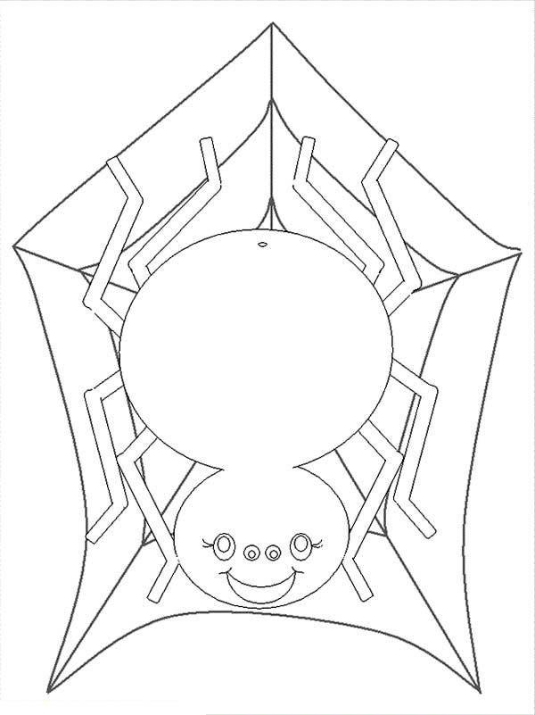 35 Spider Web Coloring Pages Printable 18