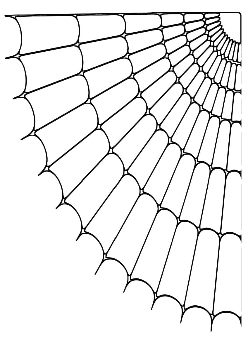 35 Spider Web Coloring Pages Printable 19