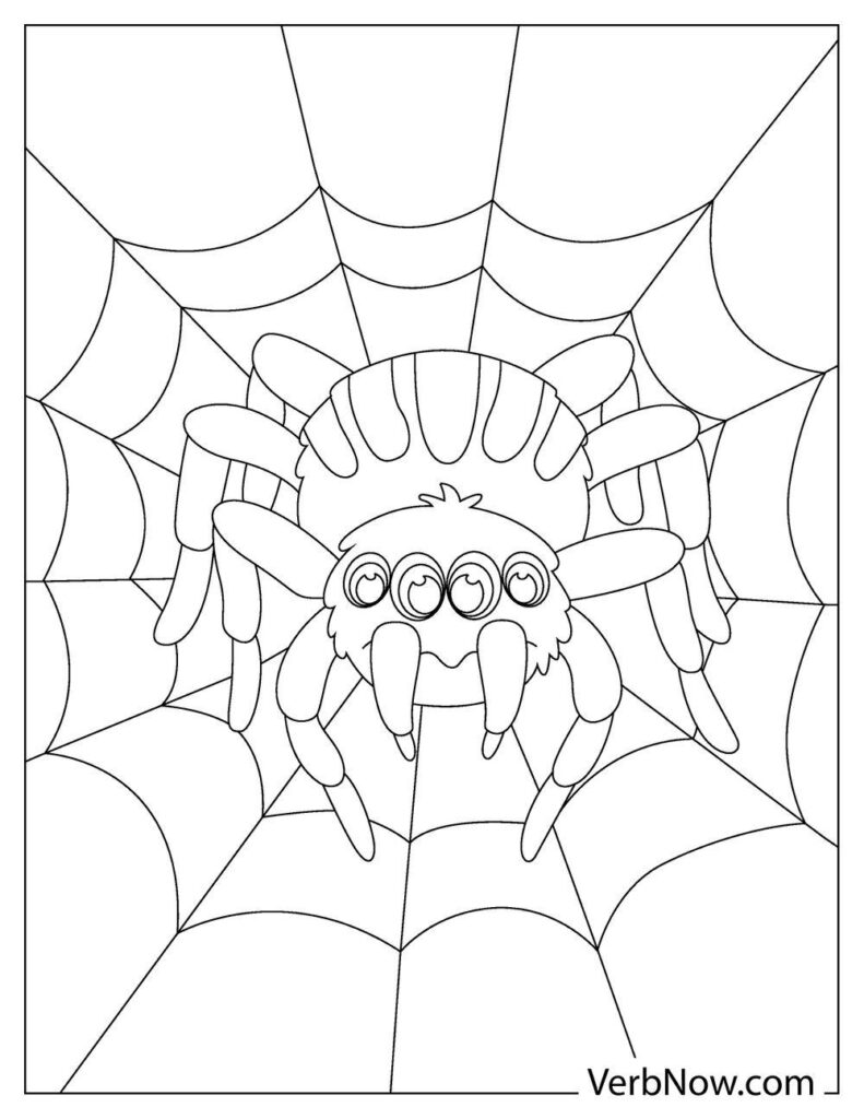 35 Spider Web Coloring Pages Printable 21