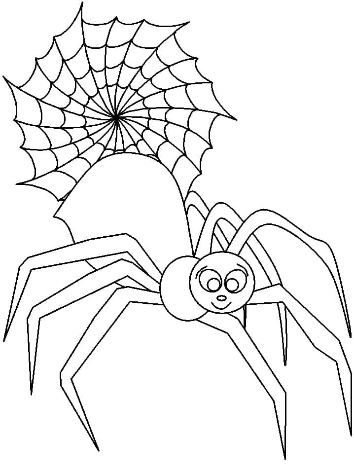 35 Spider Web Coloring Pages Printable 3