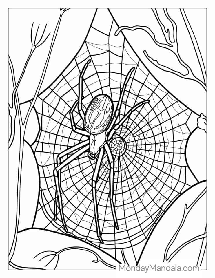 35 Spider Web Coloring Pages Printable 30