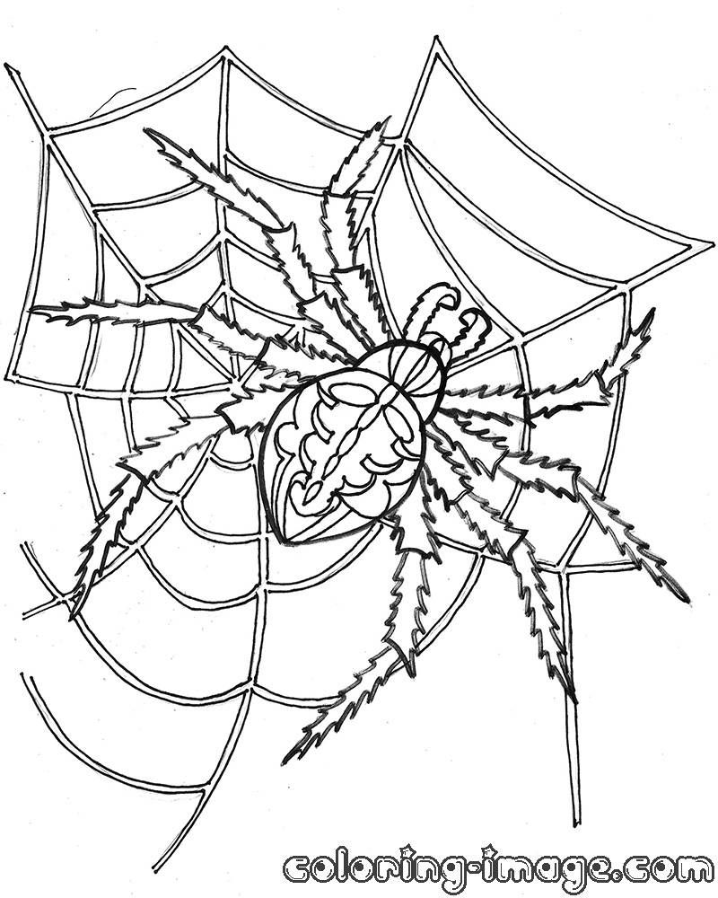 35 Spider Web Coloring Pages Printable 33