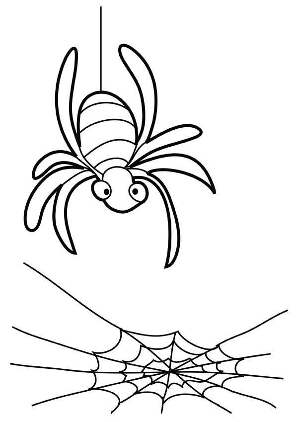 35 Spider Web Coloring Pages Printable 35