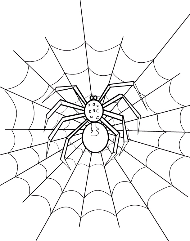 35 Spider Web Coloring Pages Printable 7