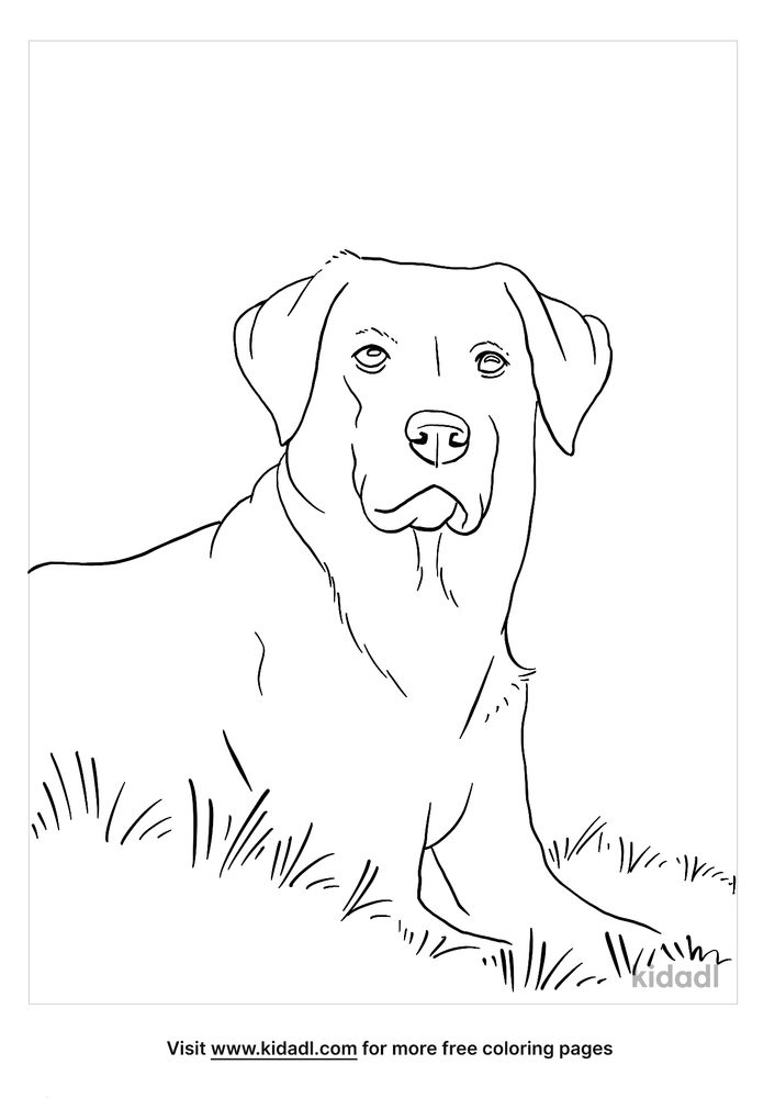 colorscapes coloring pages printable jpg