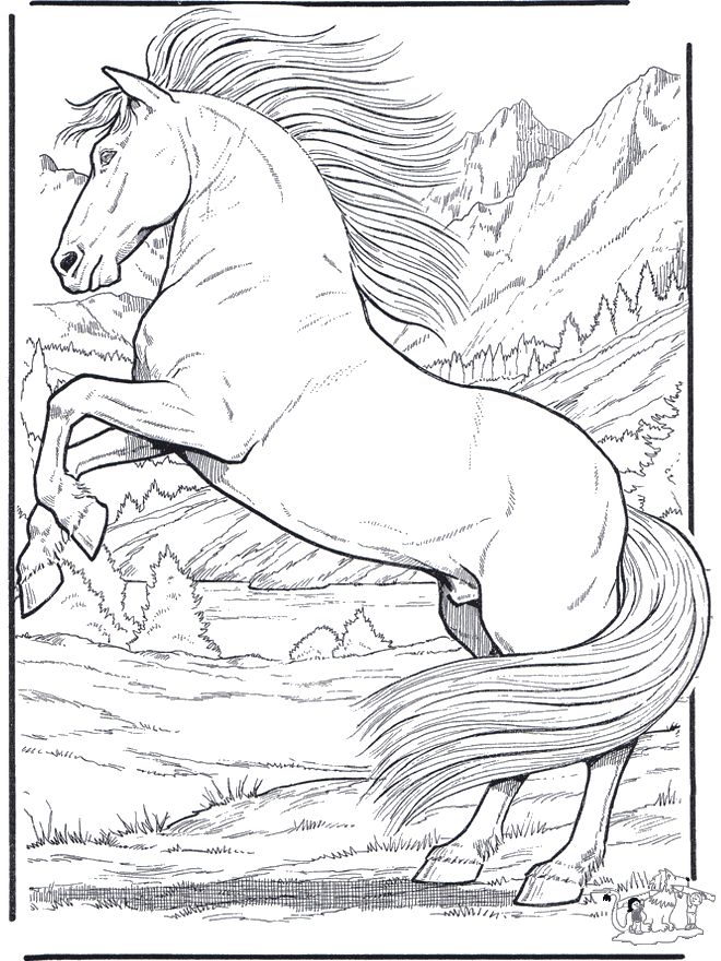 36 Relaxing Horse Coloring Pages for Adults Printable 11