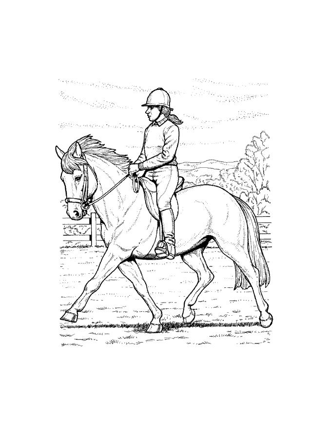 36 Relaxing Horse Coloring Pages for Adults Printable 23