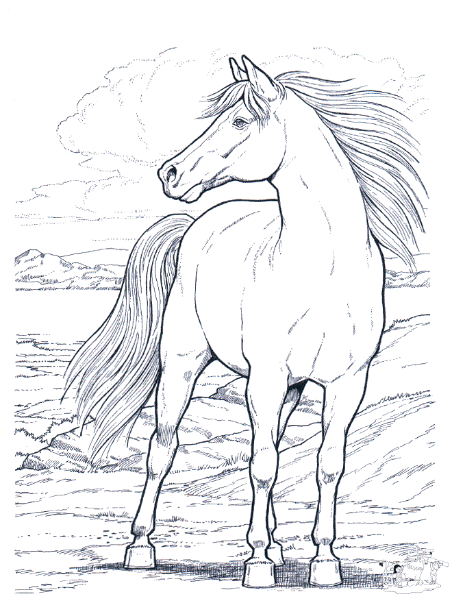 36 Relaxing Horse Coloring Pages for Adults Printable 35