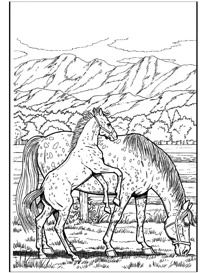 36 Relaxing Horse Coloring Pages for Adults Printable 6