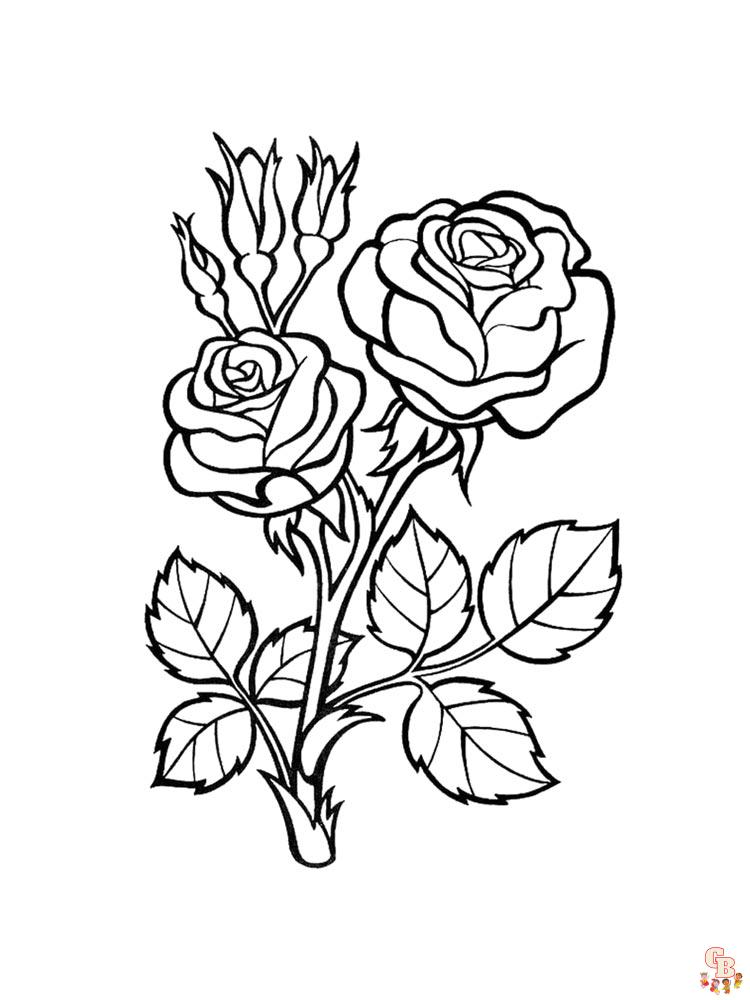 36 Roses Coloring Pages Printable 1