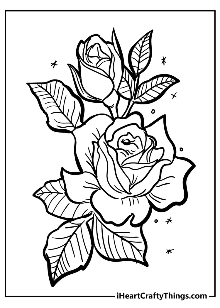 36 Roses Coloring Pages Printable 14