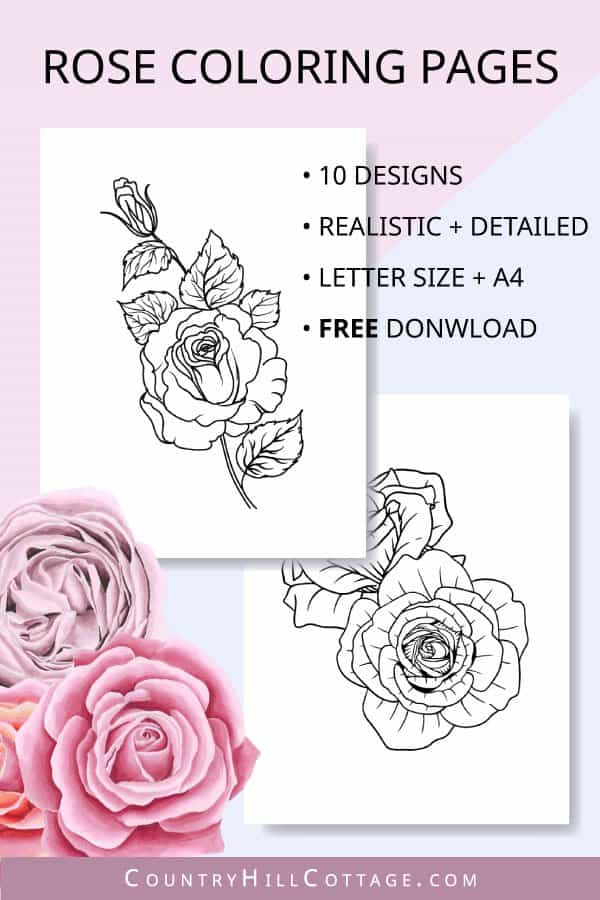 36 Roses Coloring Pages Printable 19