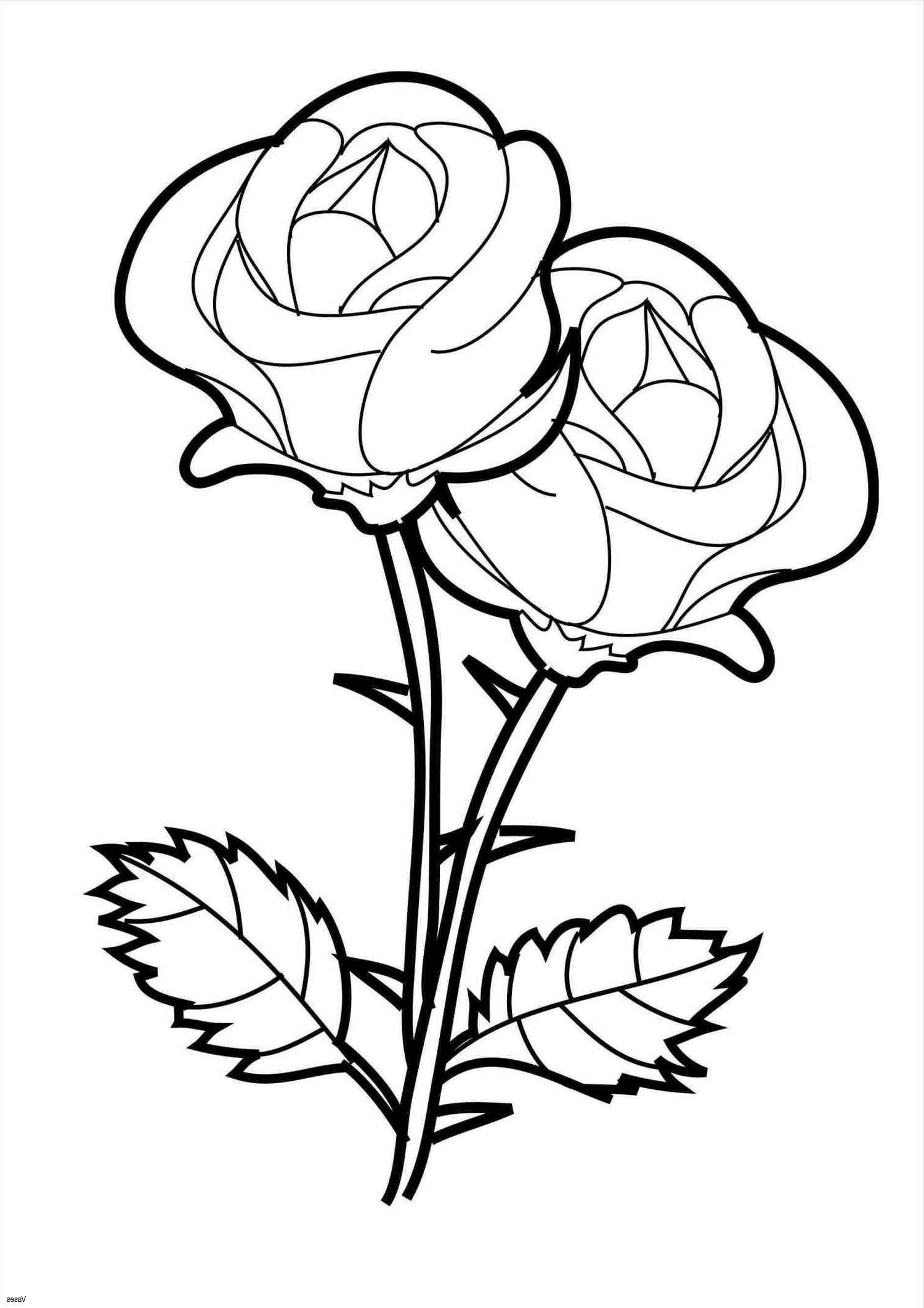 36 Roses Coloring Pages Printable 22