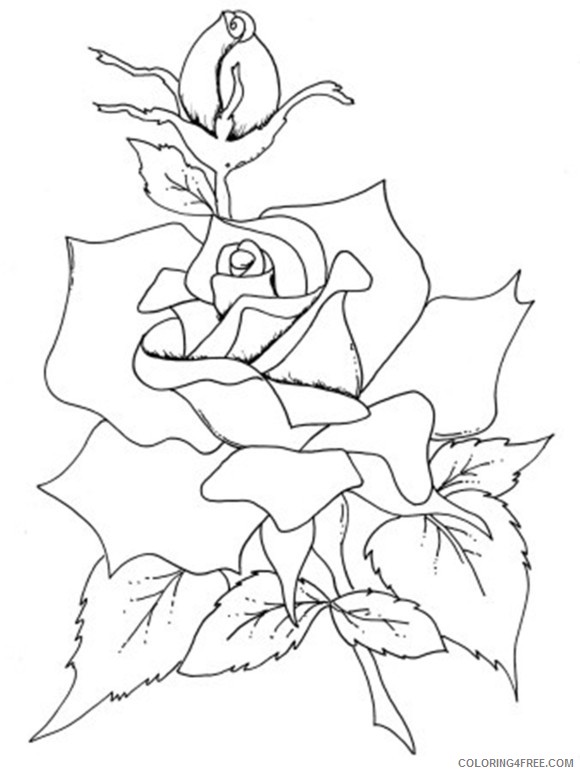 36 Roses Coloring Pages Printable 23