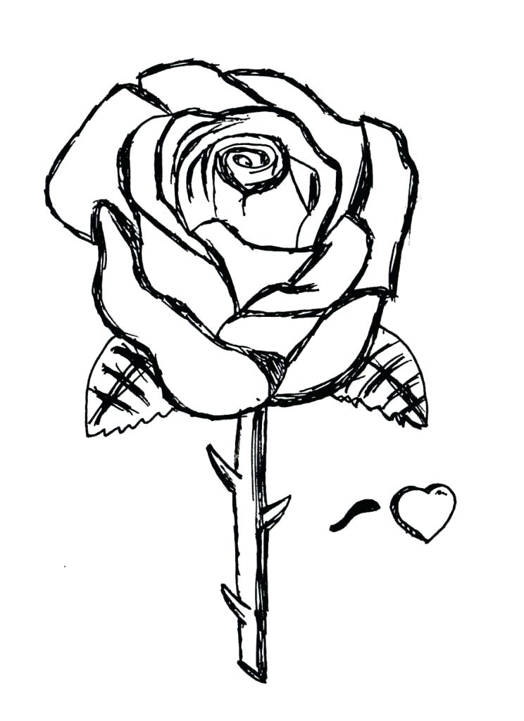 36 Roses Coloring Pages Printable 27