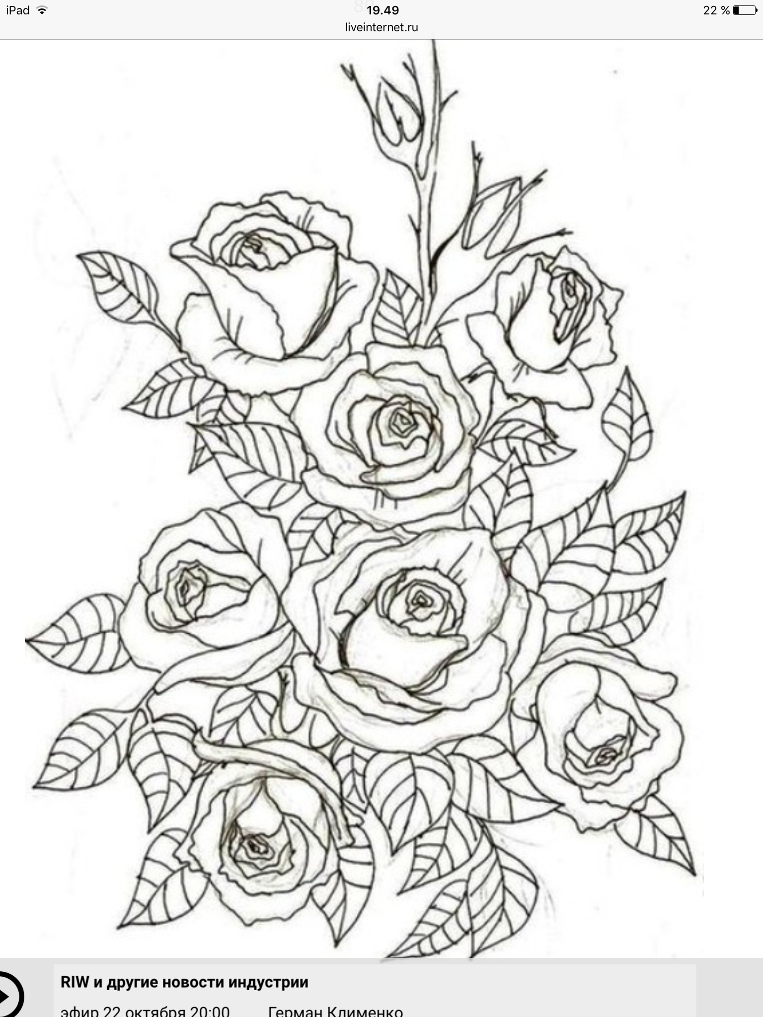 36 Roses Coloring Pages Printable 3