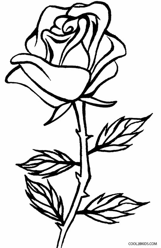 36 Roses Coloring Pages Printable 34