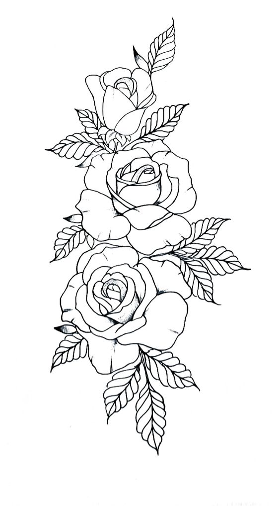 36 Roses Coloring Pages Printable 6