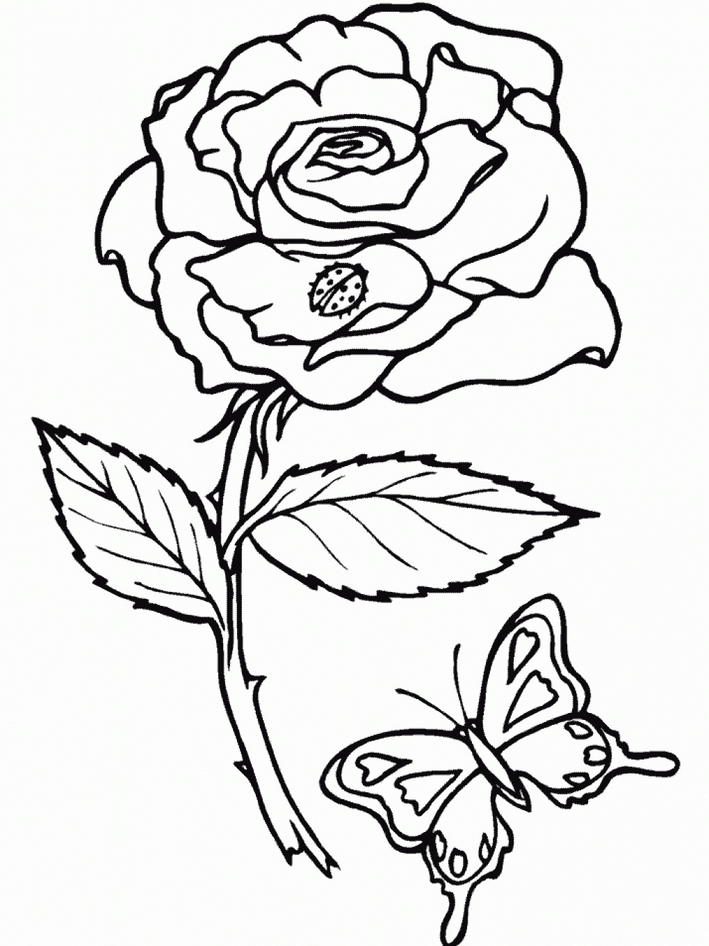 36 Roses Coloring Pages Printable 7