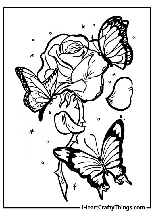 36 Roses Coloring Pages Printable 9