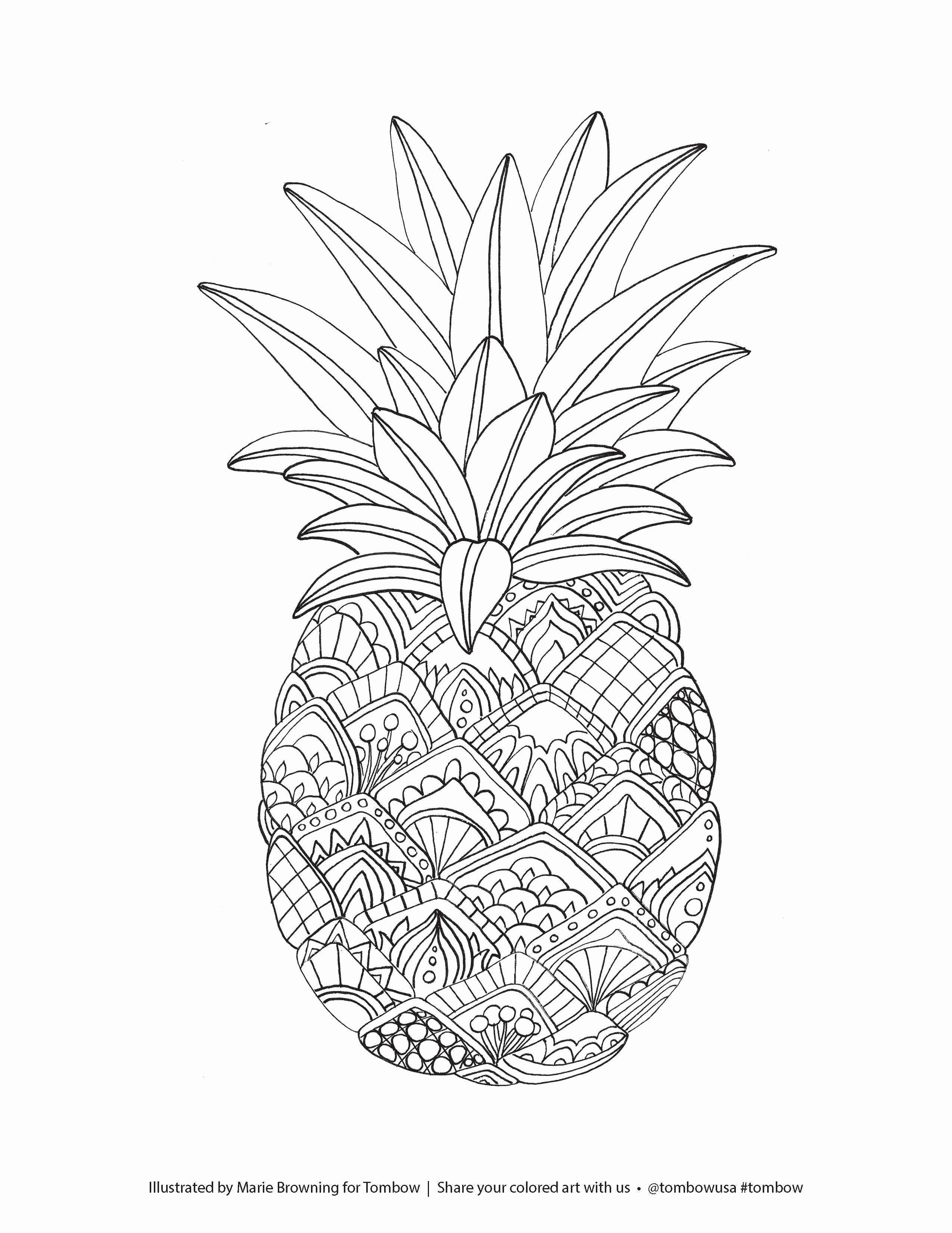 36 Tropical Pineapples Coloring Pages Printable 13