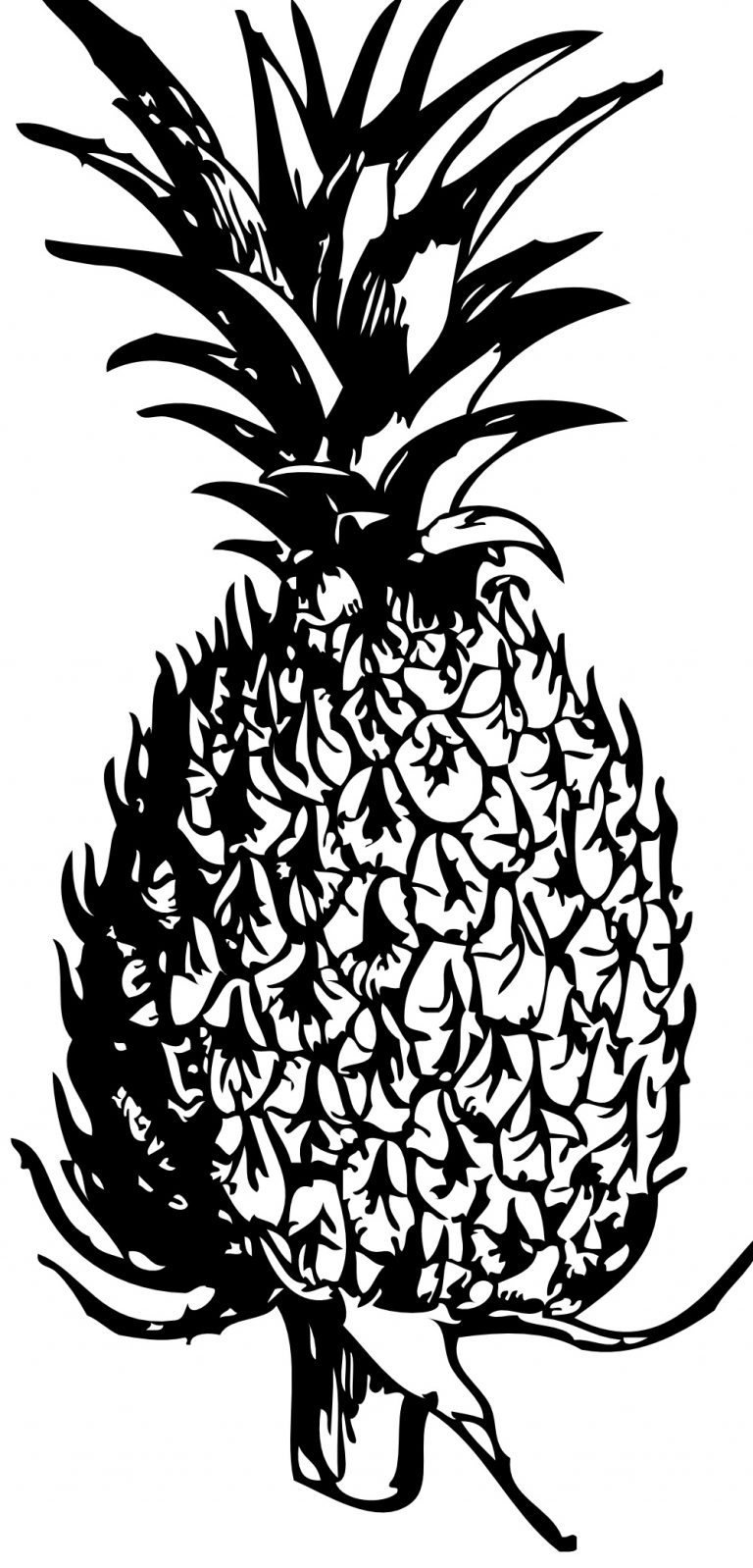 36 Tropical Pineapples Coloring Pages Printable 18