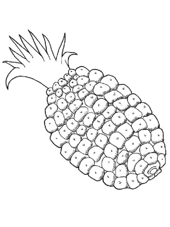 36 Tropical Pineapples Coloring Pages Printable 24