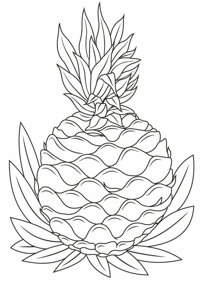 36 Tropical Pineapples Coloring Pages Printable 29