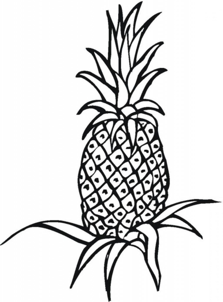 36 Tropical Pineapples Coloring Pages Printable 33