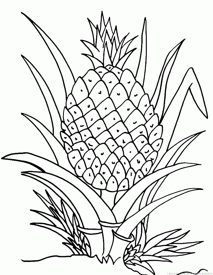 36 Tropical Pineapples Coloring Pages Printable 5