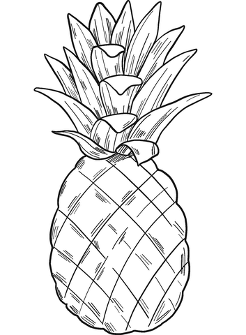 36 Tropical Pineapples Coloring Pages Printable 8