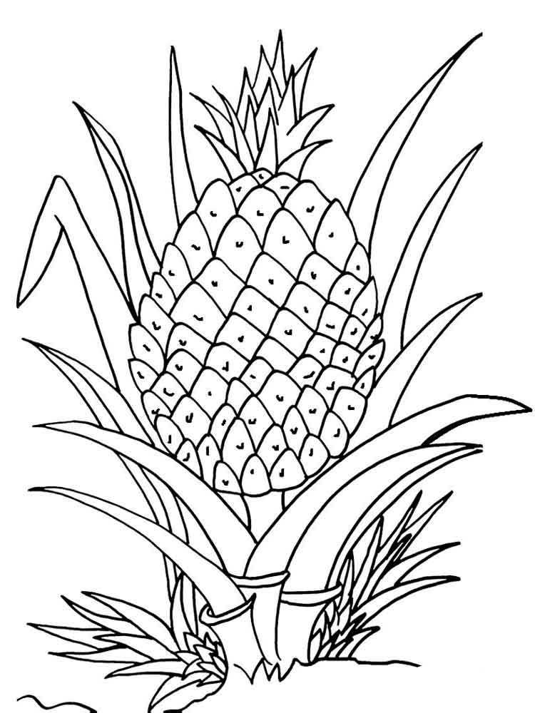 36 Tropical Pineapples Coloring Pages Printable 9