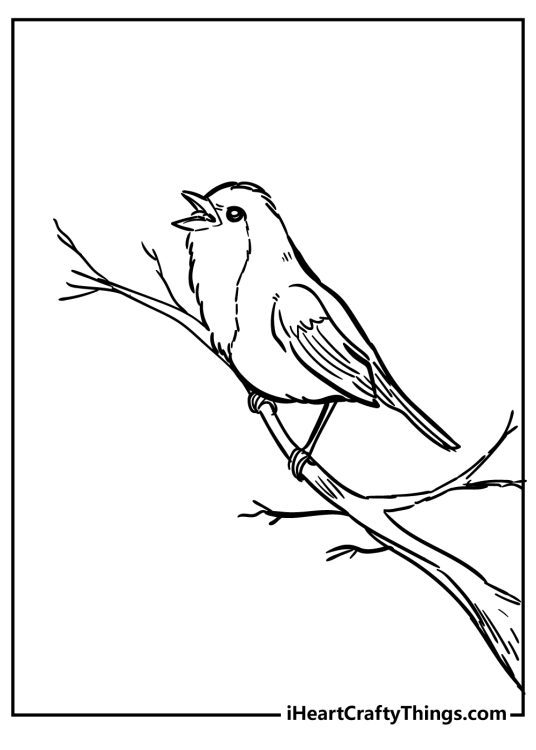 37 Chirpy Robin Coloring Pages Printable 15