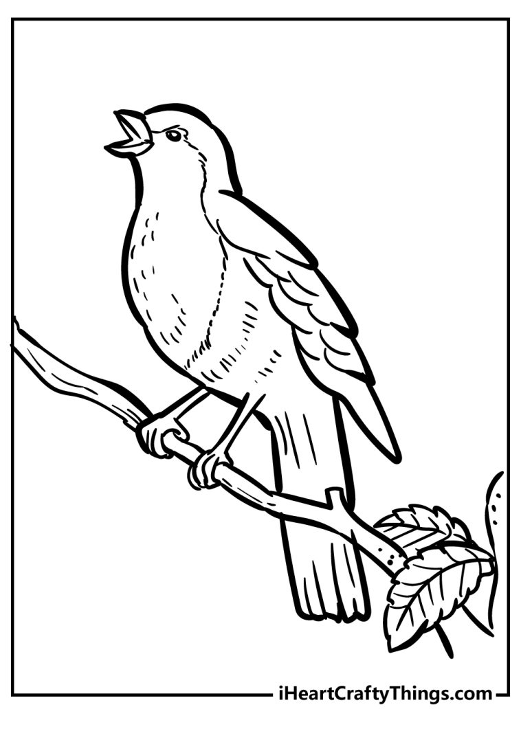 37 Chirpy Robin Coloring Pages Printable 25