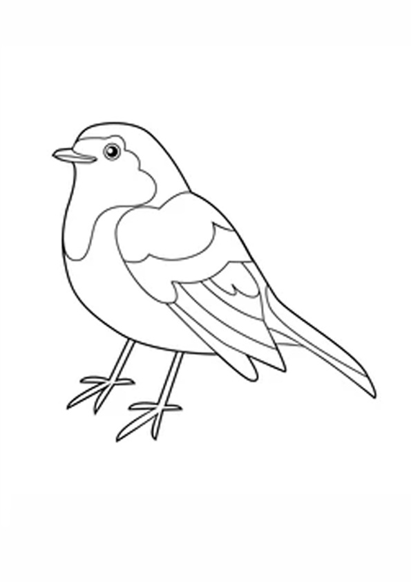 37 Chirpy Robin Coloring Pages Printable 26