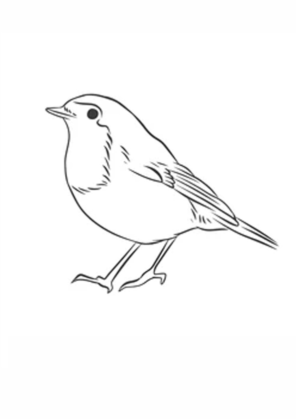 37 Chirpy Robin Coloring Pages Printable 28