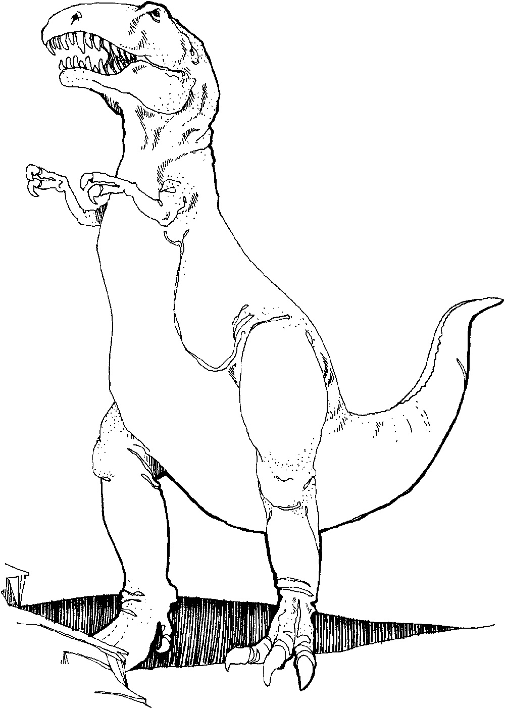 37 Mighty Tyrannosaurus Coloring Pages Printable 33