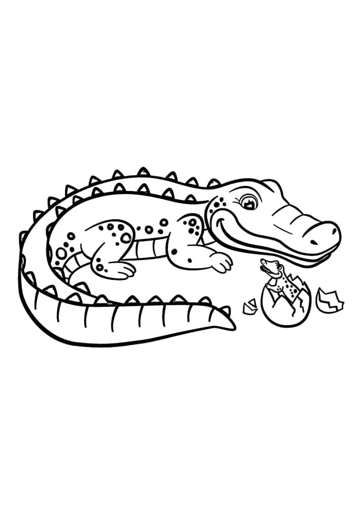 37 Scaly Crocodile Coloring Pages Printable 17