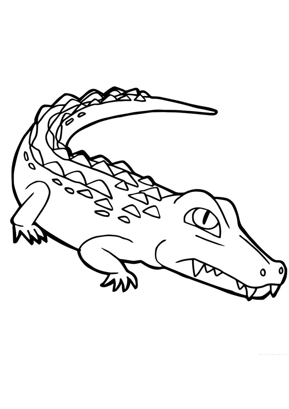 37 Scaly Crocodile Coloring Pages Printable 27