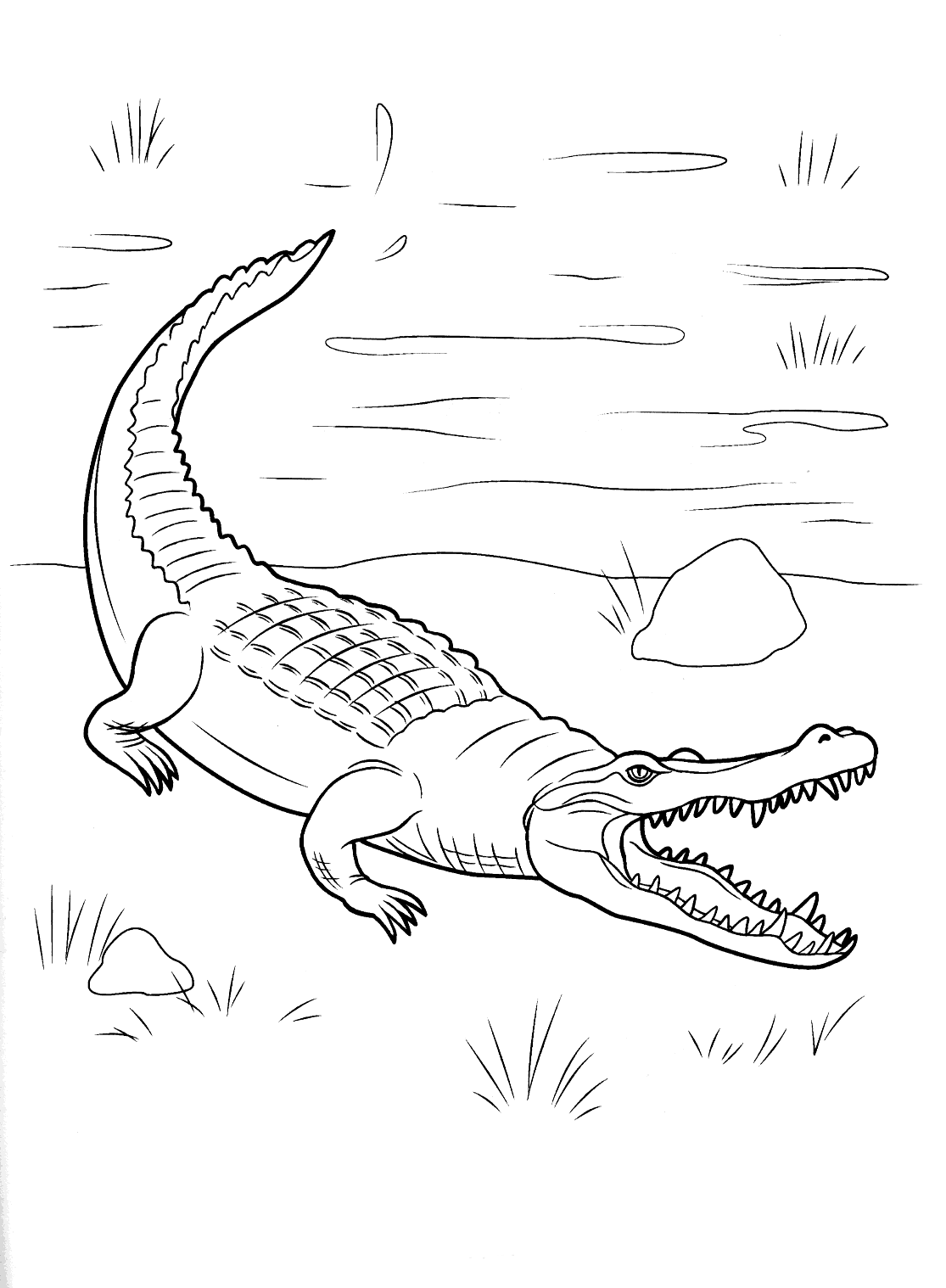 37 Scaly Crocodile Coloring Pages Printable 28